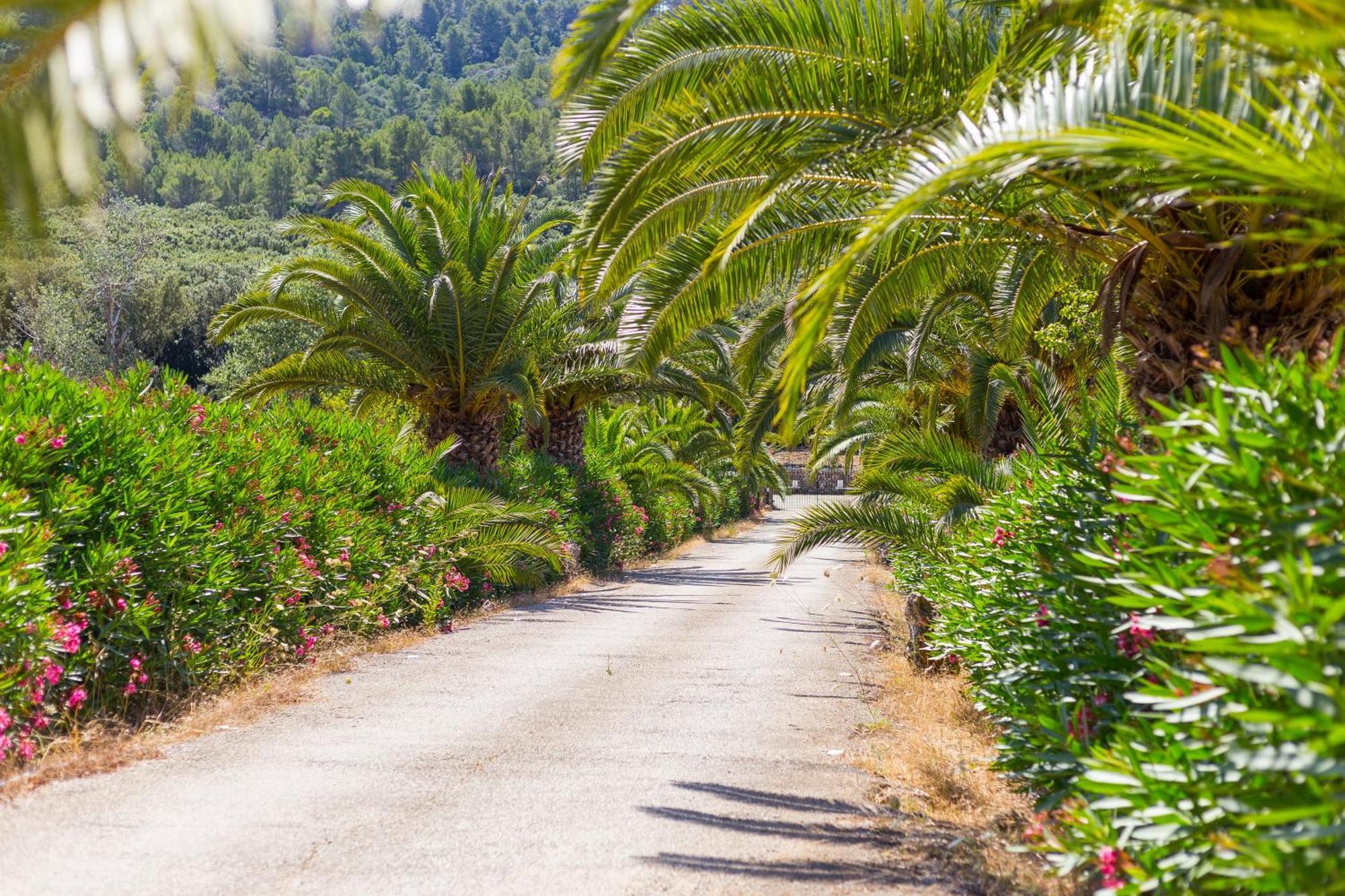 Fangar Agroturismo Campanet Eksteriør billede